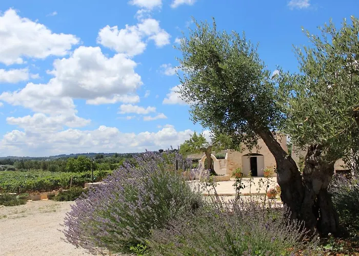 Ferienhaus Trulli Laetitia Martina Franca